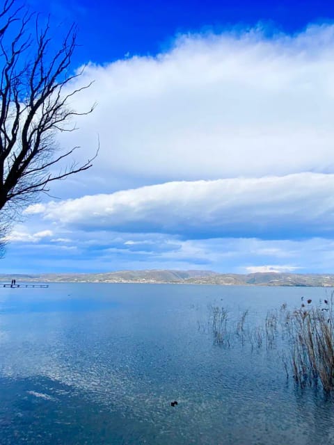 listing card gallery