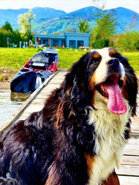 listing card gallery